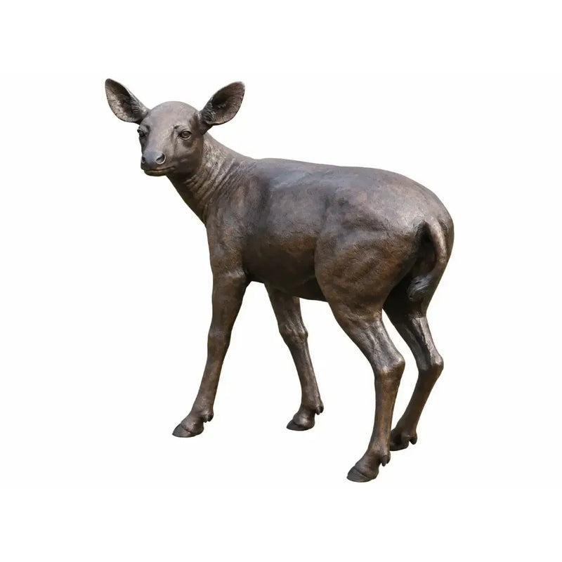 Biche — B971-1