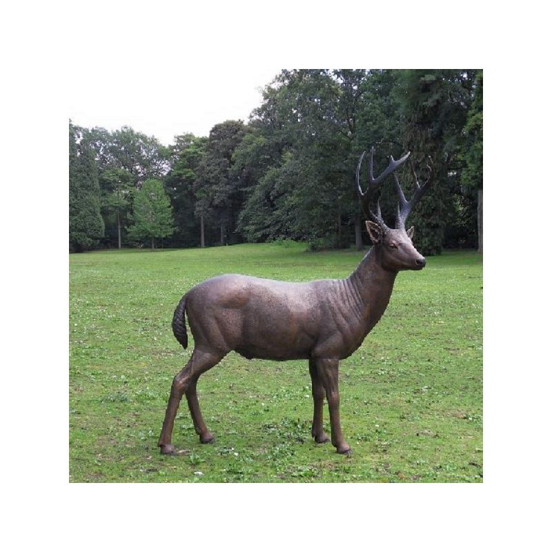 Cerf Debout Masculin — B971
