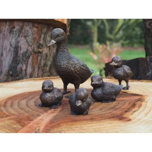 Famille de canards en bronze – set de 5 — BS0001B