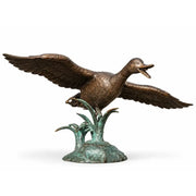 Canard volant — BS0377B