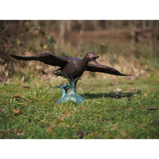 Canard volant — BS0377B
