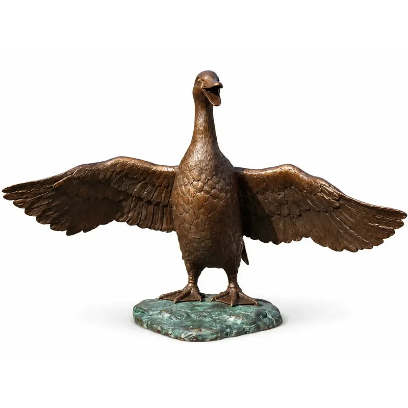 Canard battant des ailes — BS0379B