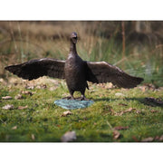 Canard battant des ailes — BS0379B