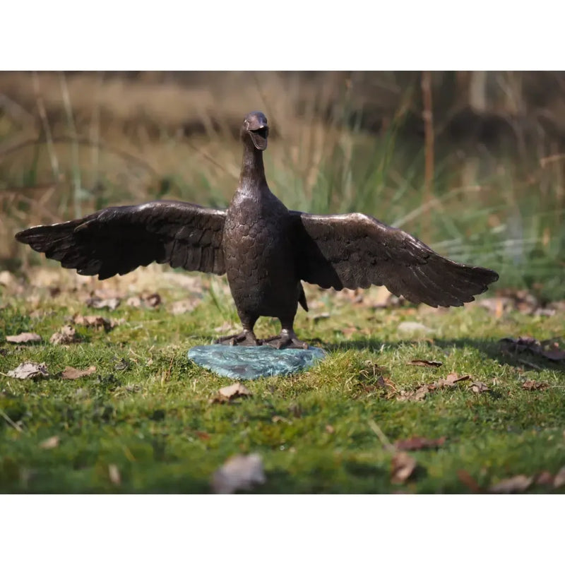 Canard battant des ailes — BS0379B