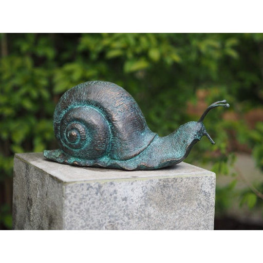 Escargot — BS0413V