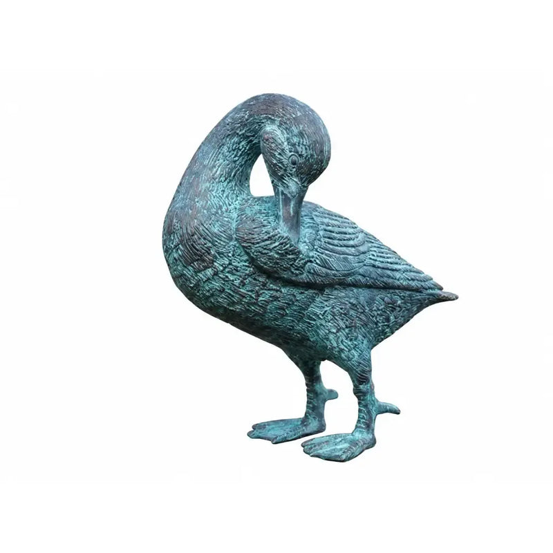 Canard Nettoie Ces Plumes — BS0468V