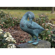 Canard Nettoie Ces Plumes — BS0468V