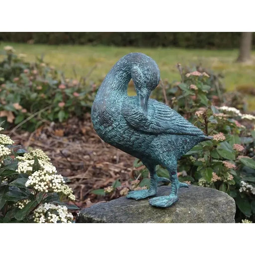 Canard Nettoie Ces Plumes — BS0468V