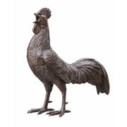 Coq — BS0484B