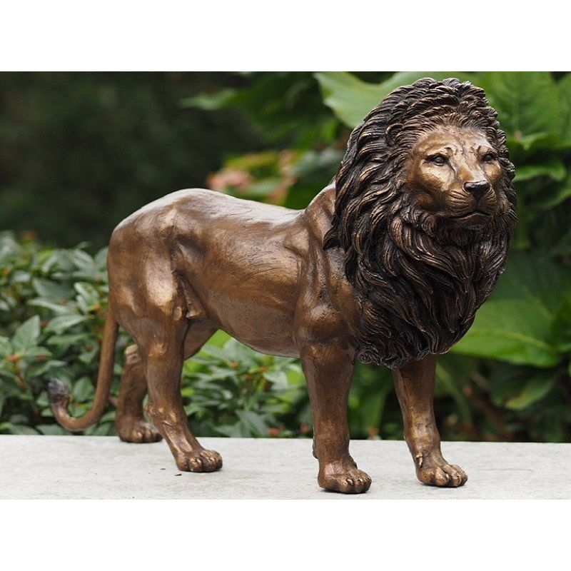 Lion — BS0600B