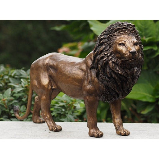 Lion — BS0600B
