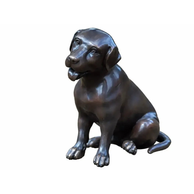 Petit Labrador — BS0687B