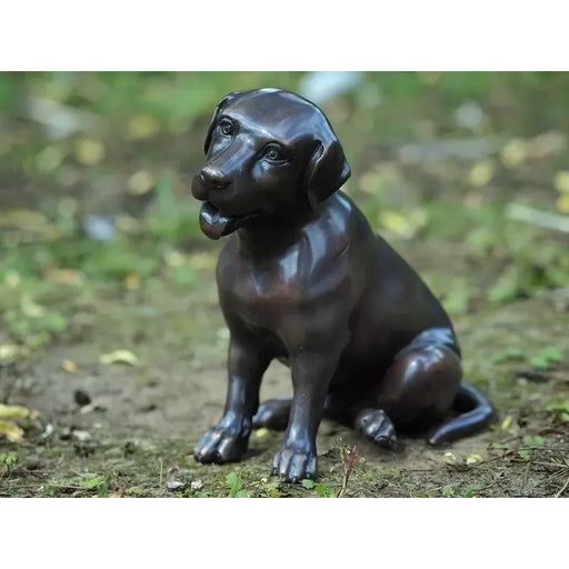 Petit Labrador — BS0687B