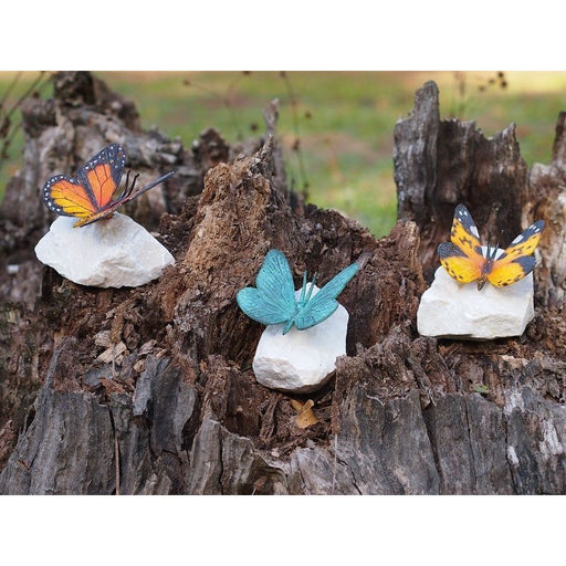 Papillon Coloré Sur Pierre — BS0748P