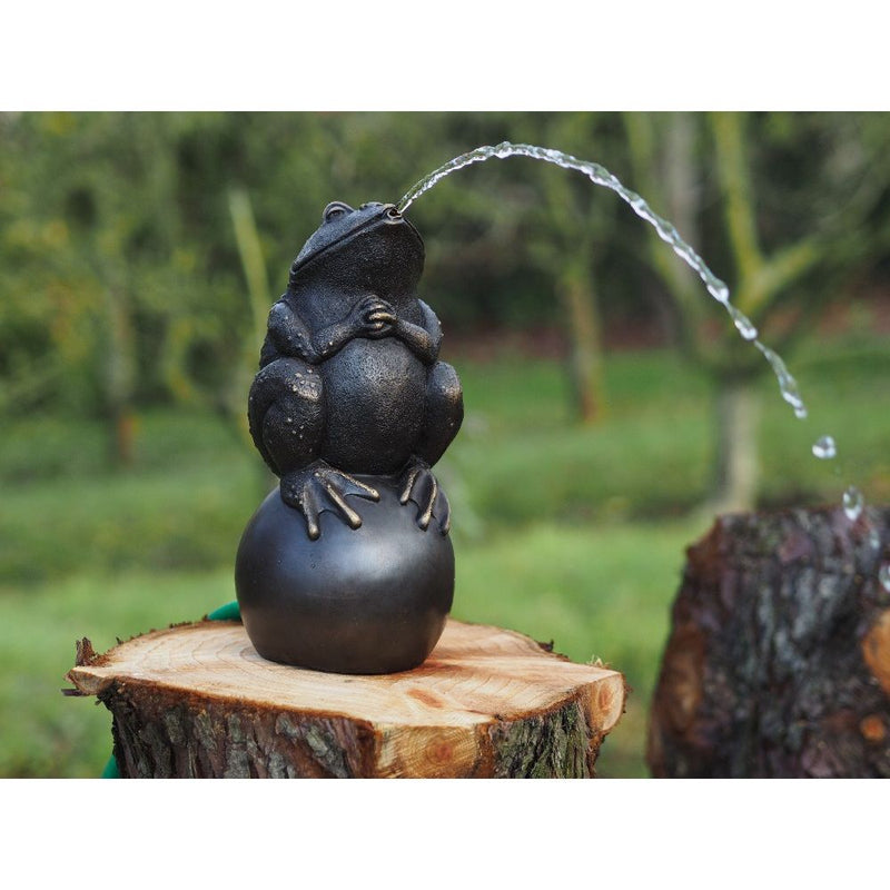Grenouille Sur Ballon — BS0926B