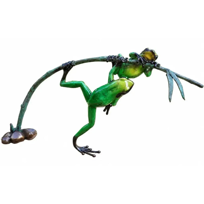 Grenouilles De La Foret Tropicale Sur Rameau — BS0981C