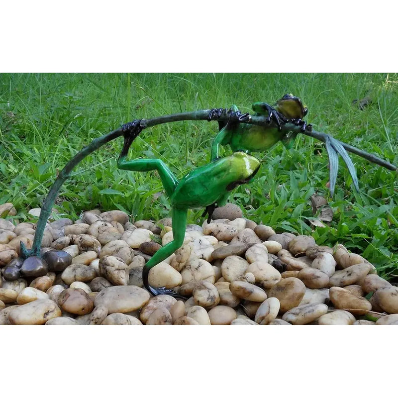 Grenouilles De La Foret Tropicale Sur Rameau — BS0981C