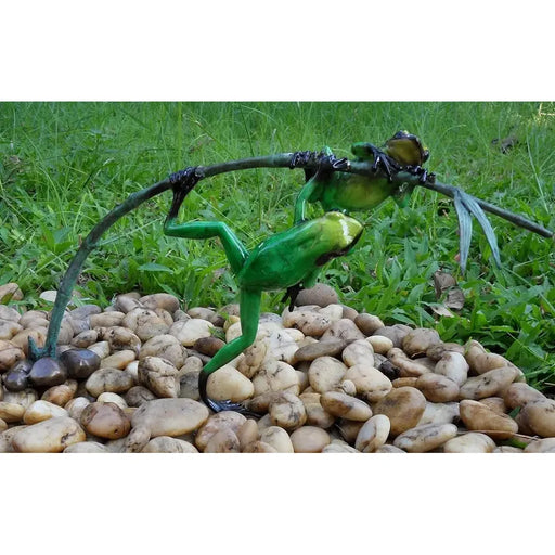 Grenouilles De La Foret Tropicale Sur Rameau — BS0981C