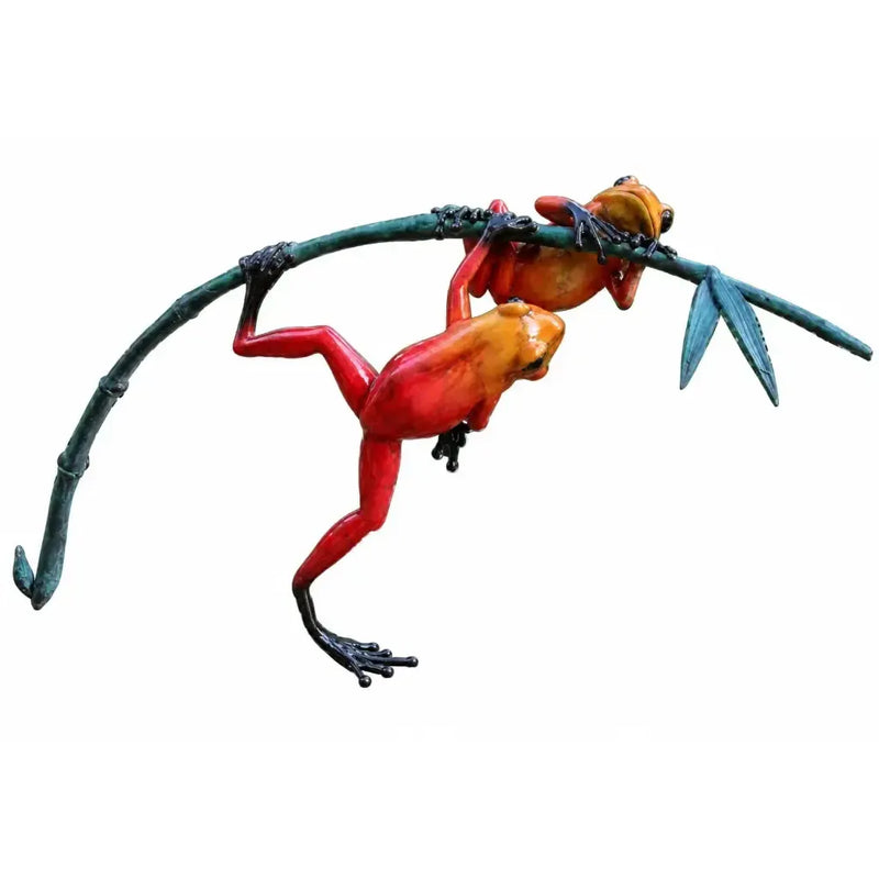 Grenouilles De La Foret Tropicale Sur Rameau — BS0982C