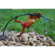 Grenouilles De La Foret Tropicale Sur Rameau — BS0982C