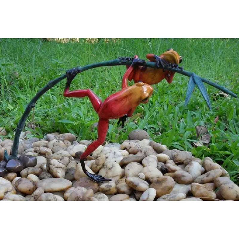 Grenouilles De La Foret Tropicale Sur Rameau — BS0982C