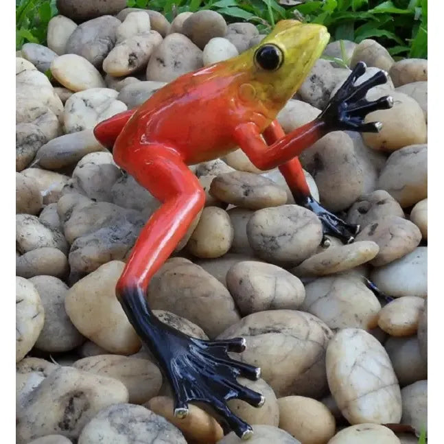 Grenouille Foret Tropicale Rouge — BS0984C