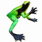 Grenouille Foret Tropicale Vert — BS0985C