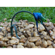 Grenouille De La Foret Tropicale Bleu Sur Rameau — BS0986C