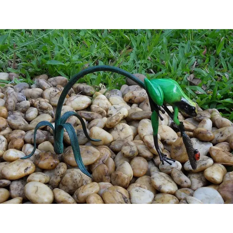 Grenouille De La Foret Tropicale Vert Sur Rameau — BS0988C