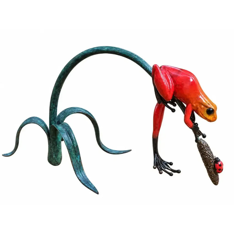 Grenouille De La Foret Tropicale Rouge Sur Rameau — BS0989C