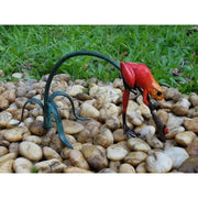 Grenouille De La Foret Tropicale Rouge Sur Rameau — BS0989C