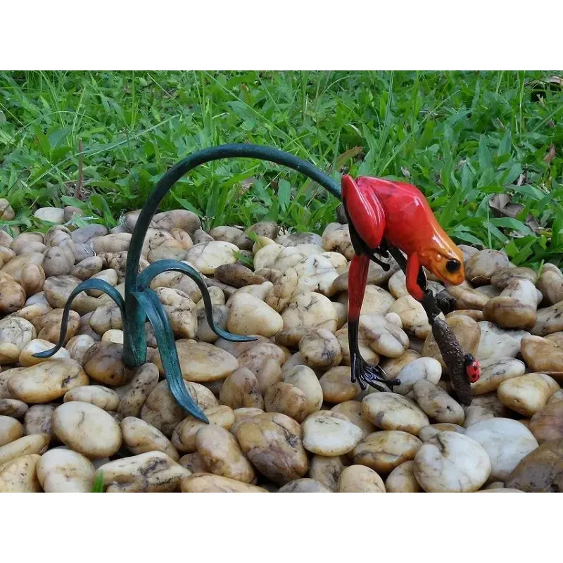 Grenouille De La Foret Tropicale Rouge Sur Rameau — BS0989C