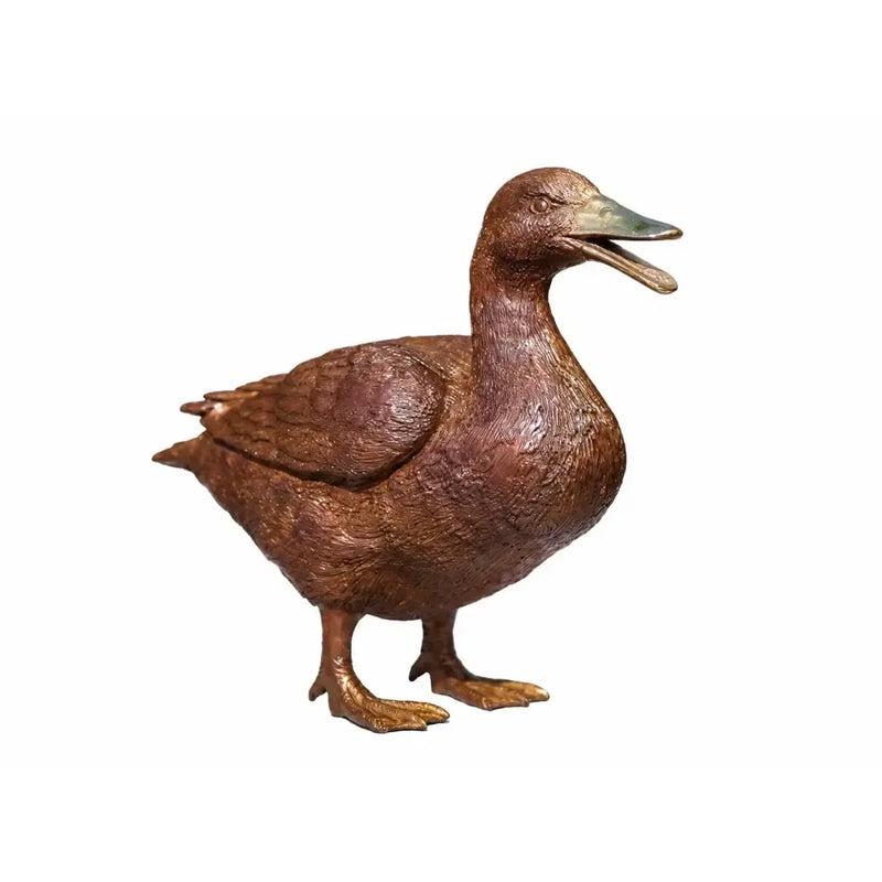 Canard — BS1115B