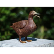 Canard — BS1115B