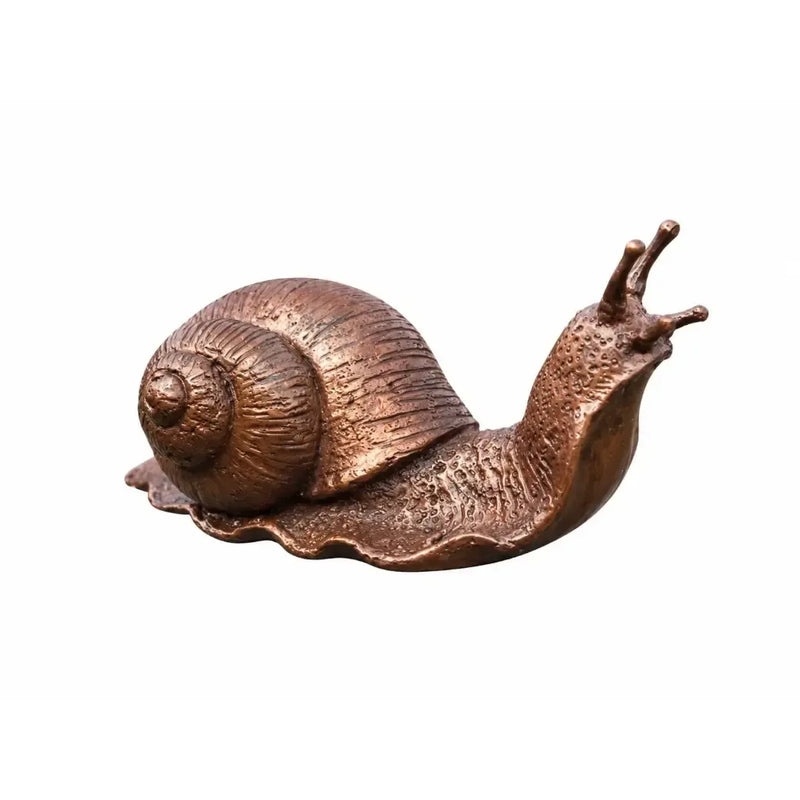 Petit Escargot — BS1127B