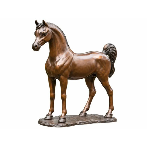 Cheval Arabe — BS1135B