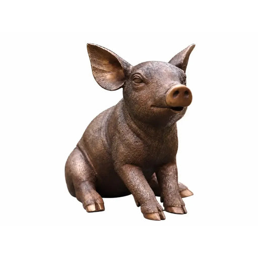 Cochon Assise — BS1136B