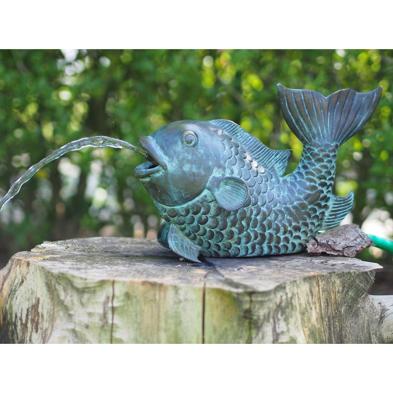 Grand Poisson Fontaine — BS1140V-F-L