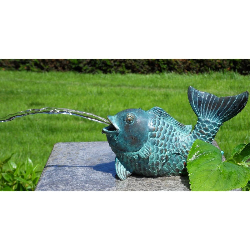 Poisson Fontaine — BS1140V-F-S