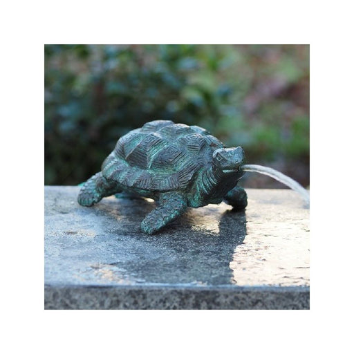 Petite Tortue Cracheur — BS1157V-F