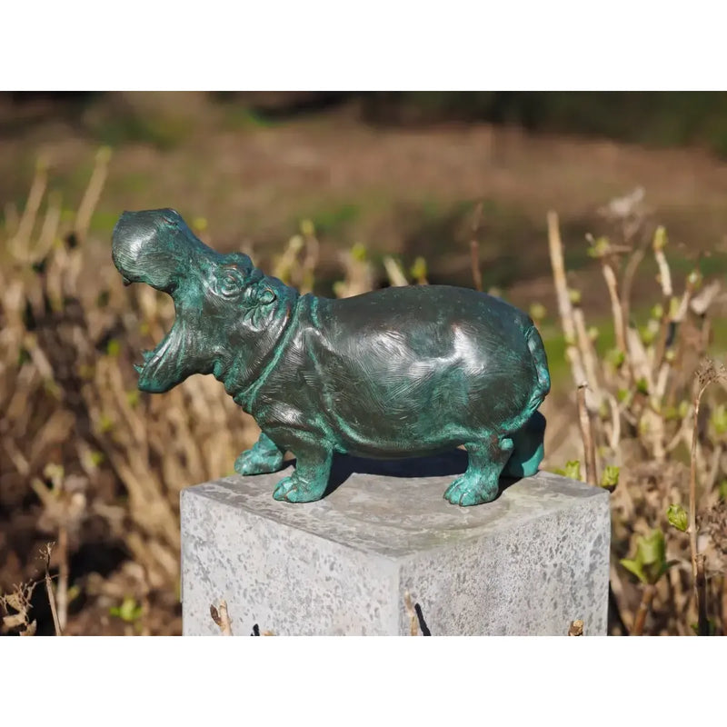 Hippopotame — BS1164V