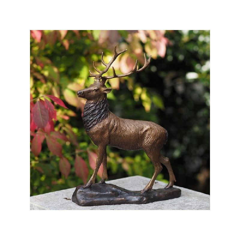 Petit Cerf — BS1185B