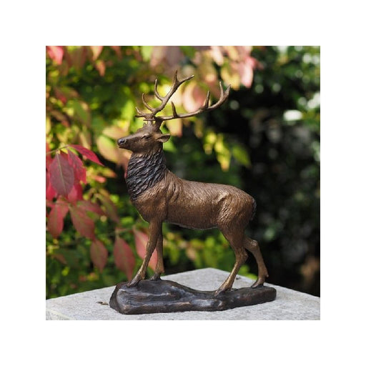 Petit Cerf — BS1185B