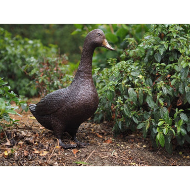 Canard Debout — BS1267B