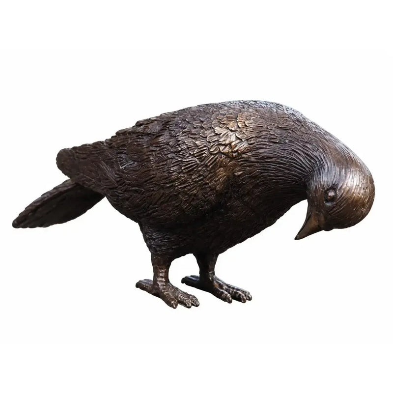 Pigeon — BS1288B-2