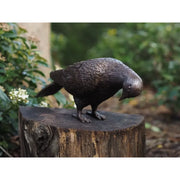 Pigeon — BS1288B-2