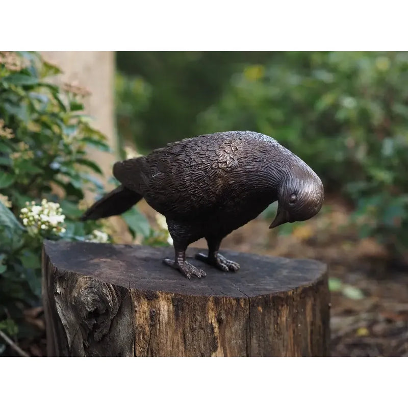 Pigeon — BS1288B-2