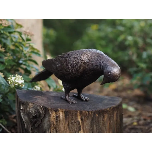 Pigeon — BS1288B-2