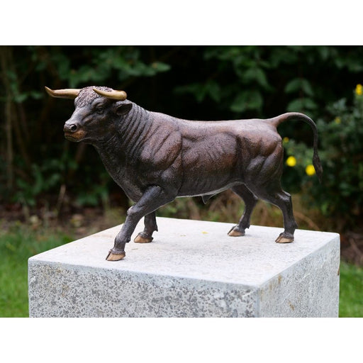 Taureau 49 Cm — BS1307B