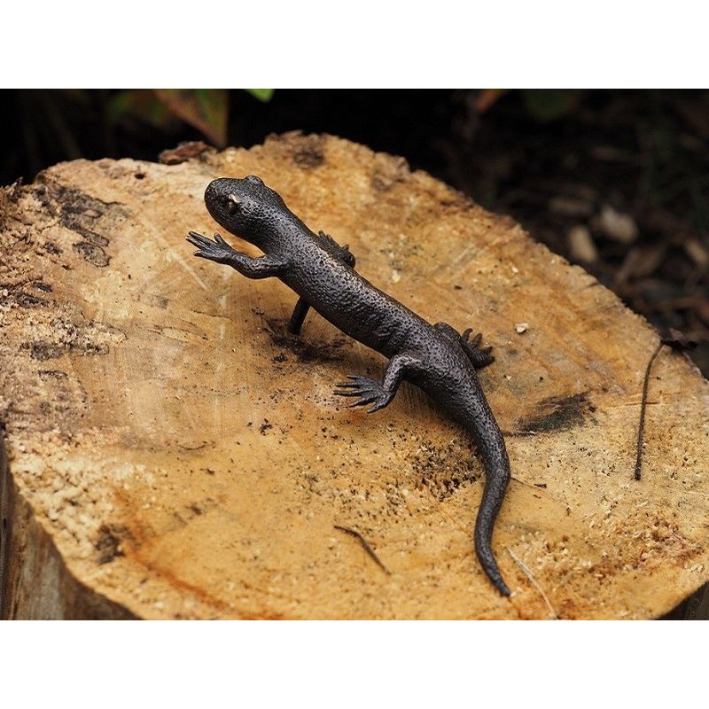 Salamandre — BS1317B